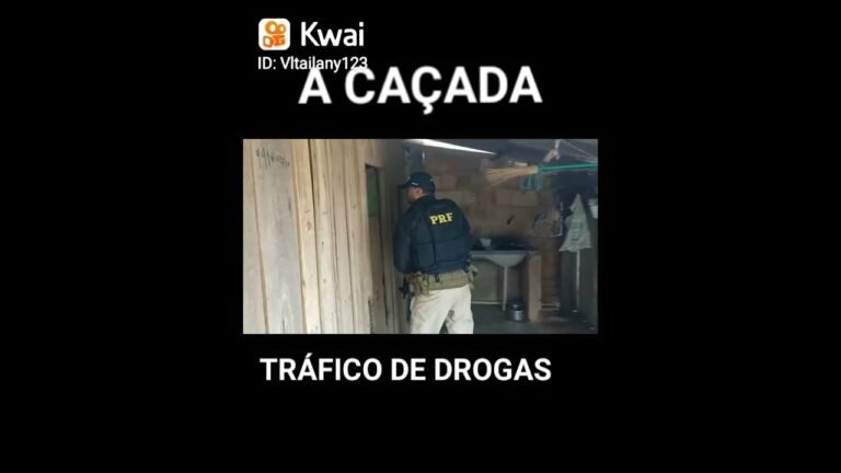 CAÇADA AO TRÁFICO DE DROGAS