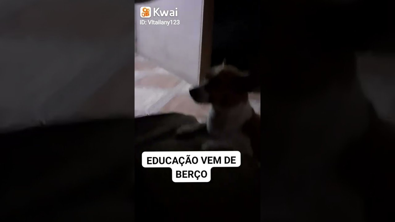 EDUCAÇÃO VEM DE BERÇO...